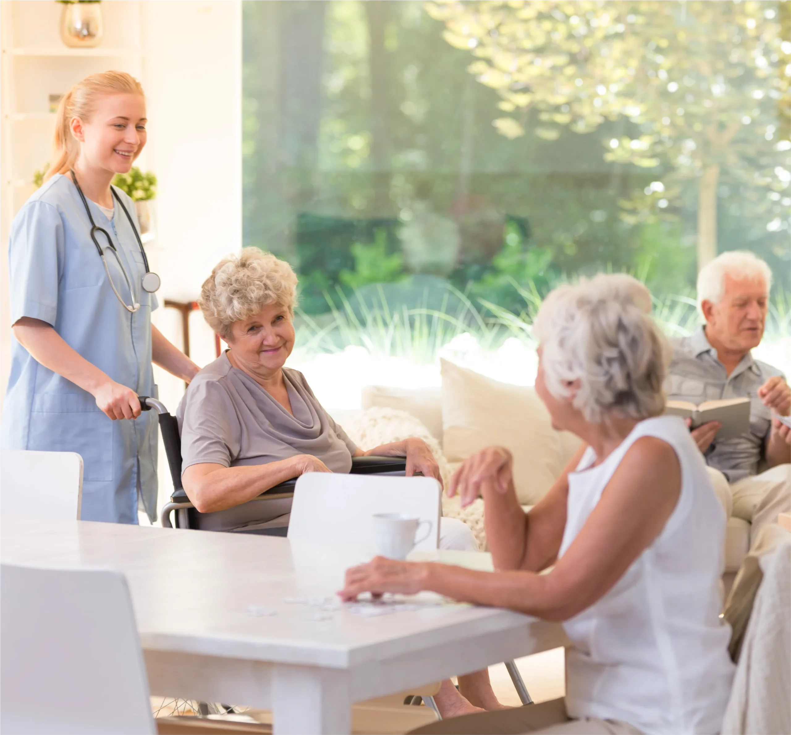 Companionship and Wellness Monitoring